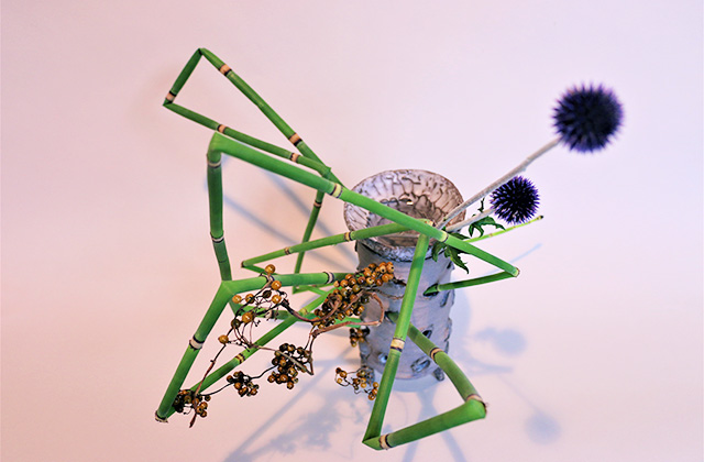 雲竜柳　レンギョウ　ゴム風船