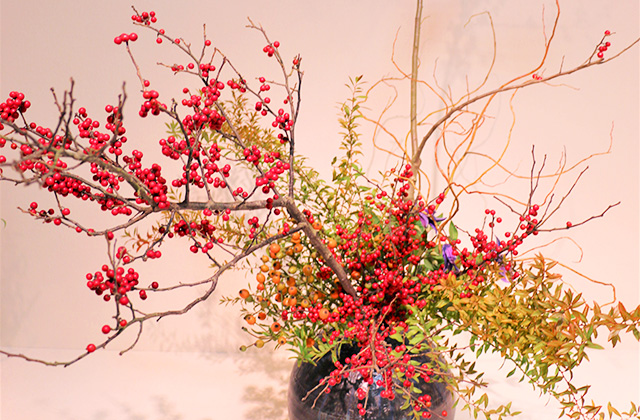 ウィンターベリー　雪柳　雲竜柳　ベルてっせん