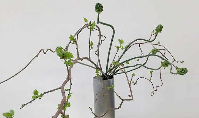 performances and workshops