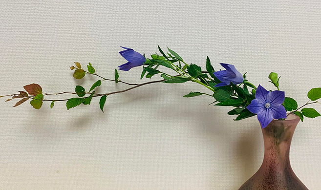 >カルチャーツーリズム