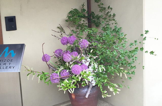 画廊お迎え花