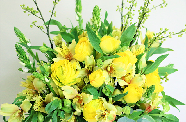 イエロー・グリーン系