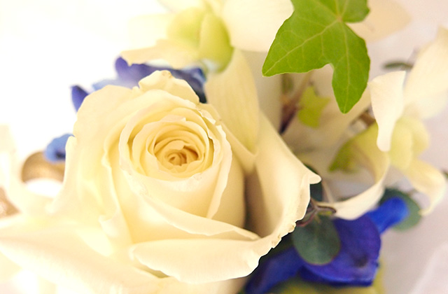 ブートニア　ホワイト・ブルー・グリーン